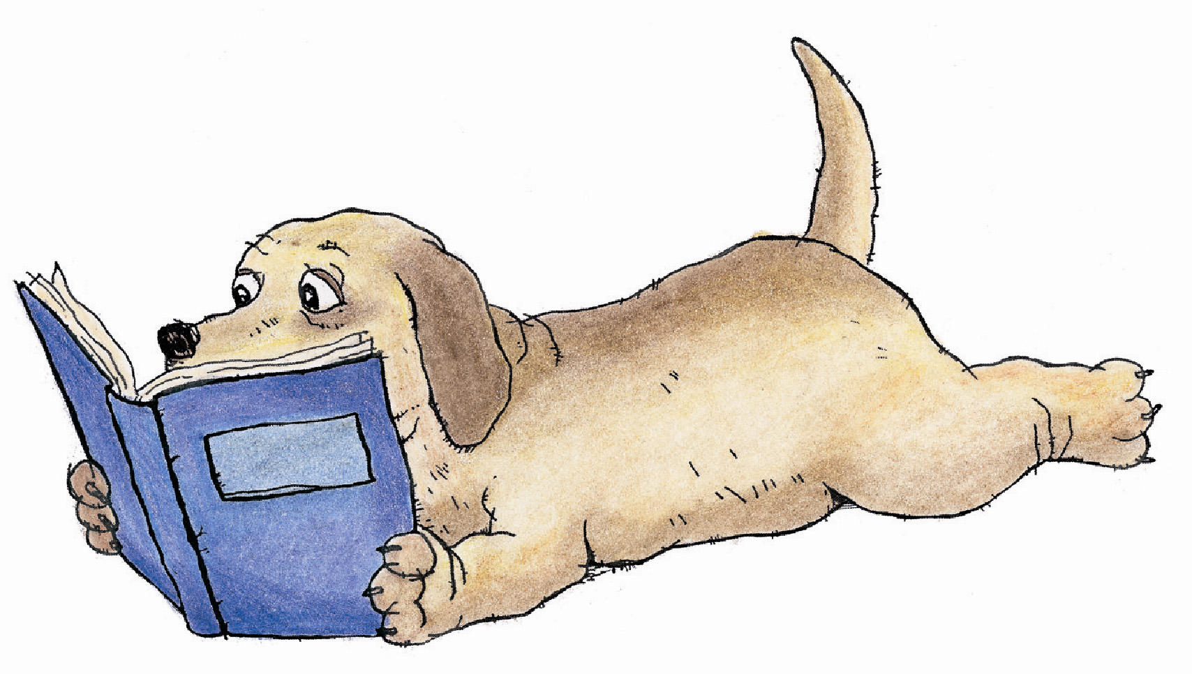 free clipart dog reading - photo #6