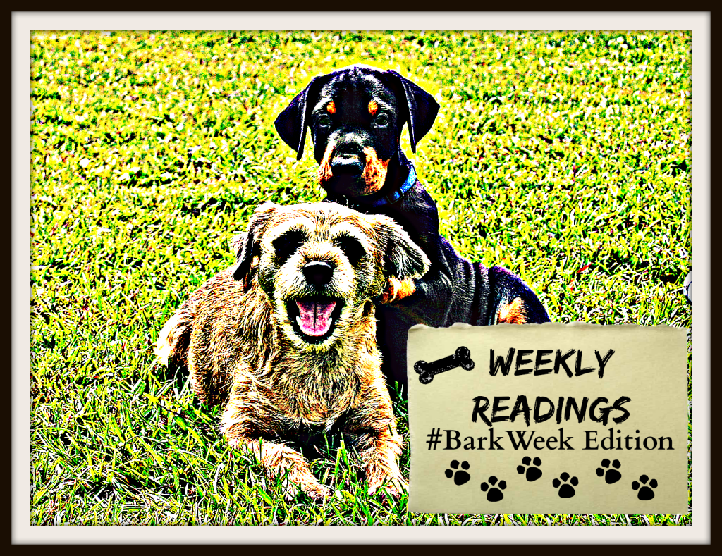 WEEKLY READINGS (#BarkWeek) - FINAL V2